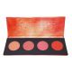 Maikaii - Paleta de Blushes Guilherme Nogueira 10g 1