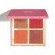 Niina Secrets - Palette Multifuncional Luminous 2 - 12g 1